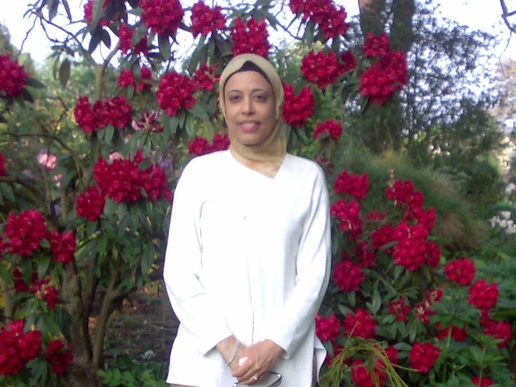 Profile photo for Dr Heba Youssef